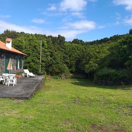 Azores Hibiscus House - Mountain And Sea São Roque do Pico Eksteriør bilde